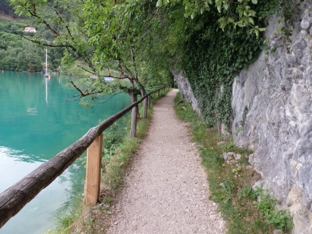 מסלול הליכה על יד האגם